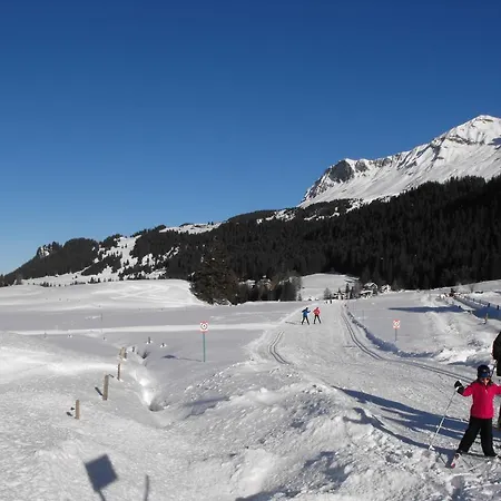 Staetzerhorn Parpan