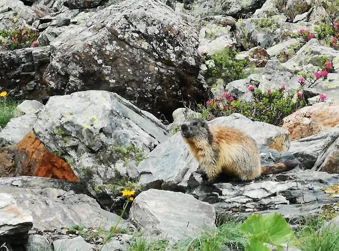 Staetzerhorn Szálloda Parpan